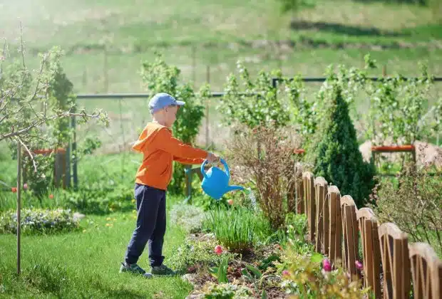 système d’irrigation