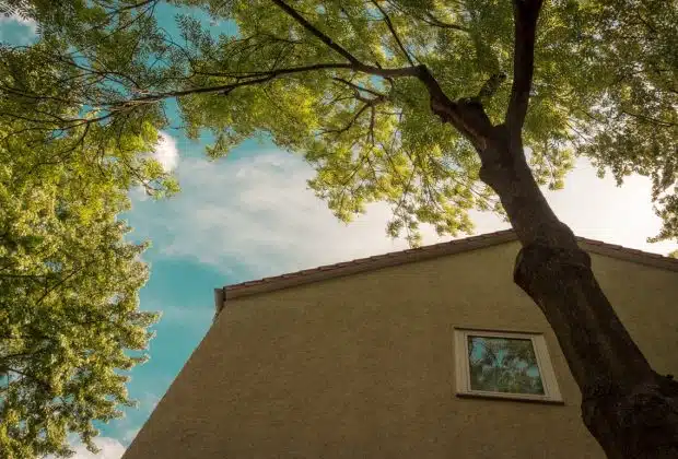 distance entre un arbre et une maison